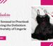 From Sensual to Practical Exploring the Definition and Diversity of Lingerie